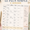 Modèle de budget hebdomadaire simple et pratique avec des sections pour les dépenses et les revenus