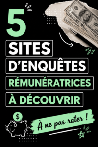 Femme travaillant sur un ordinateur pour participer à des sondages rémunérateurs