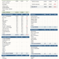 Un écran d'ordinateur affichant un tableau Excel de budget familial.